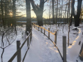 bridle-path-winter2