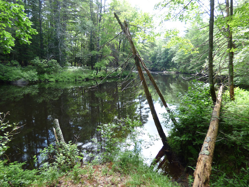 Little Ossipee River Trail (and the Limington, Hollis and Waterboro