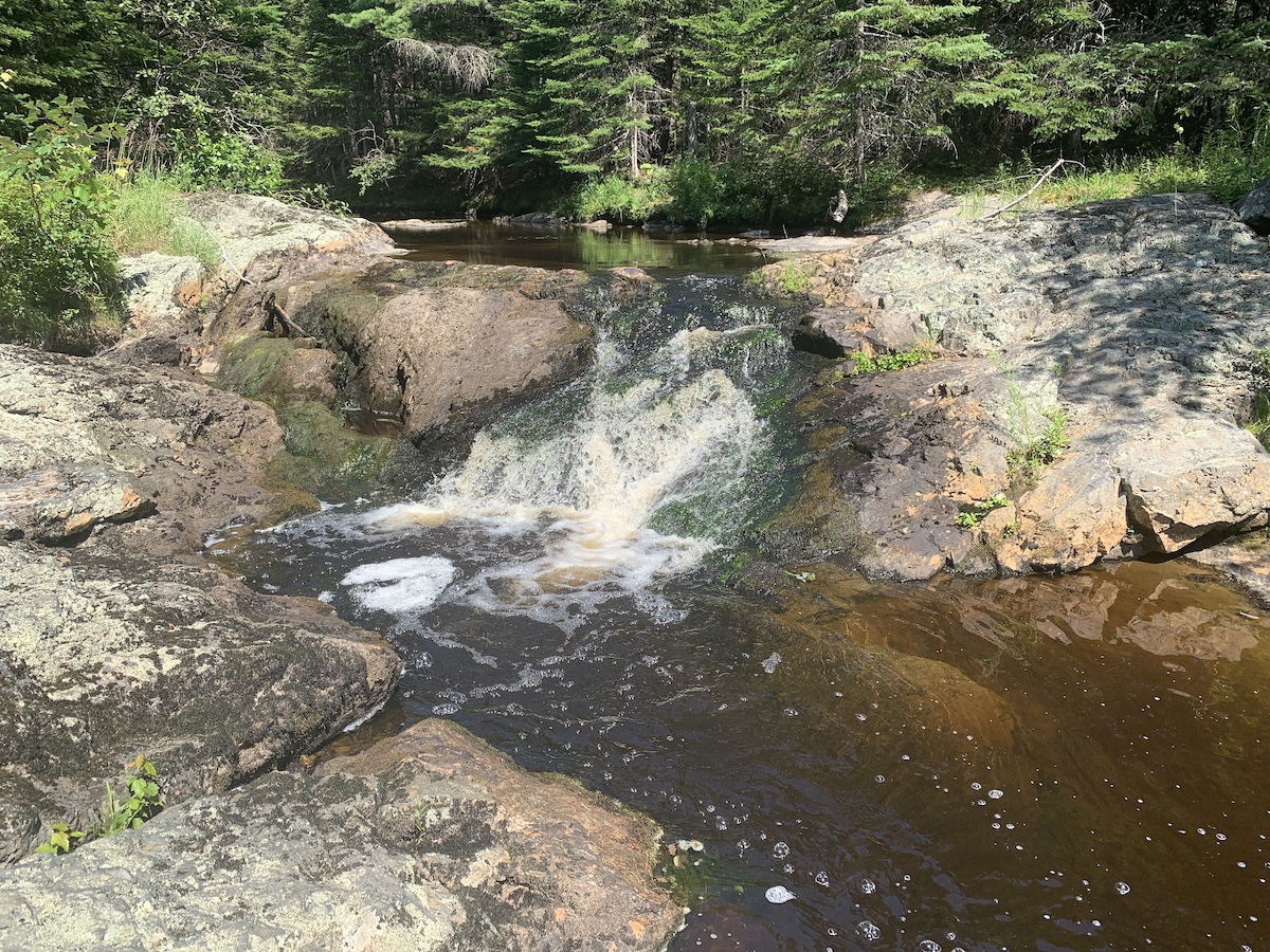 Pleasant River Community Forest, Columbia Falls - Maine by Foot