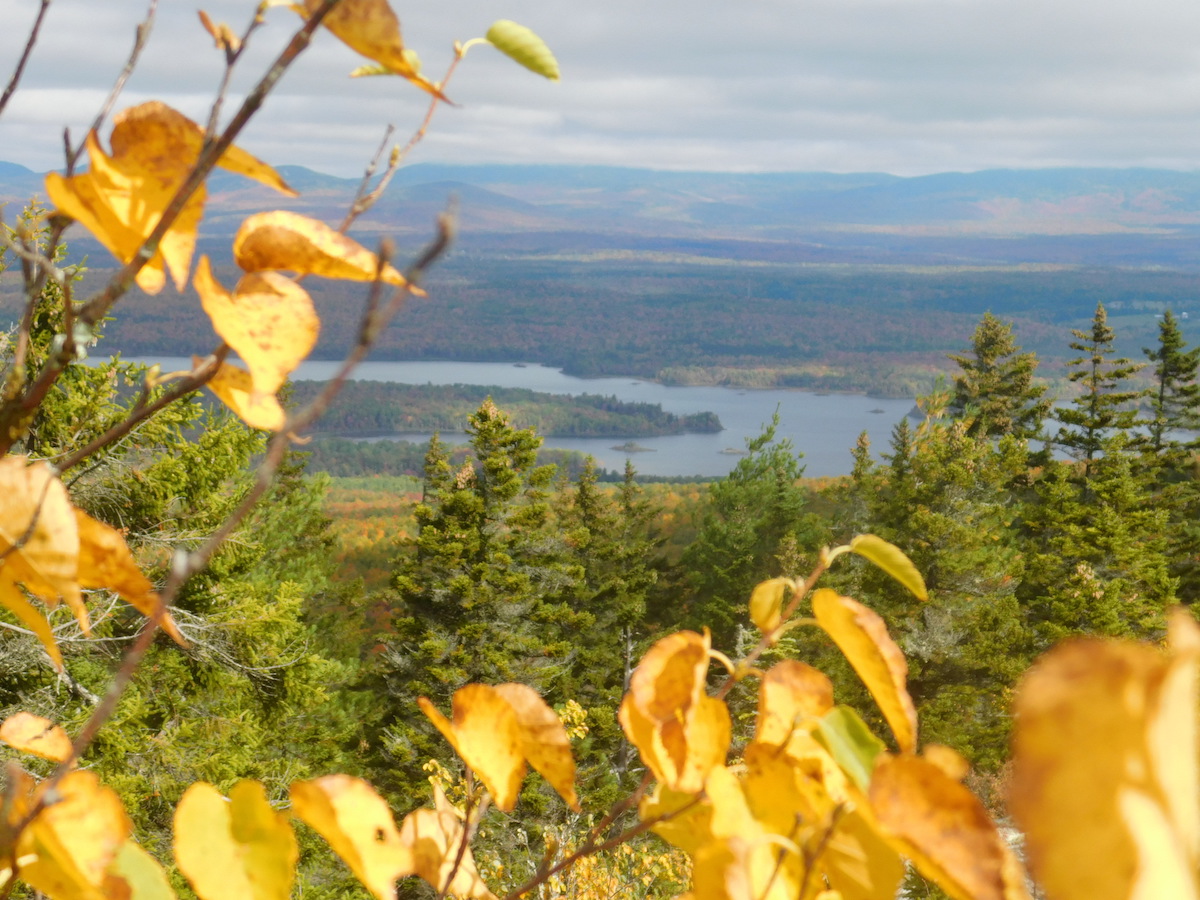 Sally Mountain, near Jackman Maine by Foot