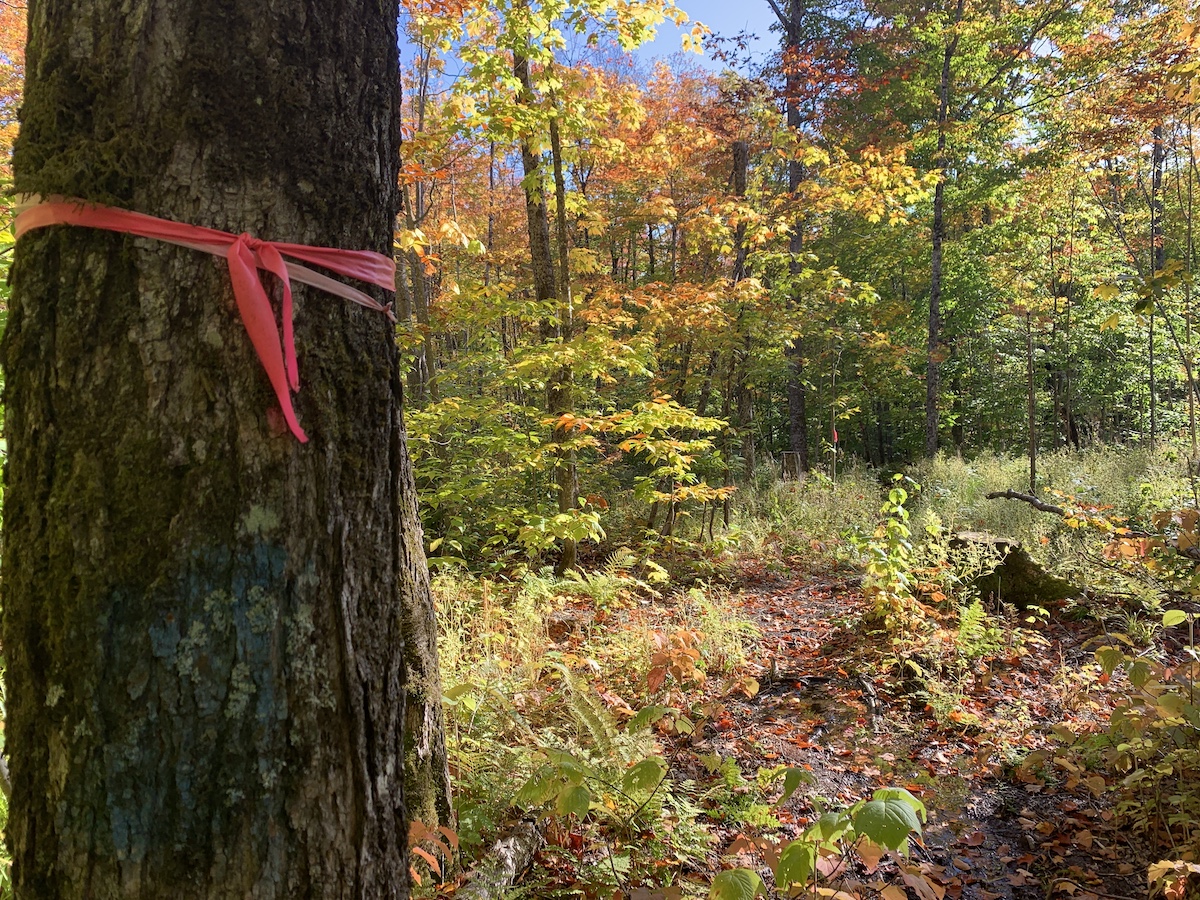 Slidedown Falls, near Jackman Maine by Foot