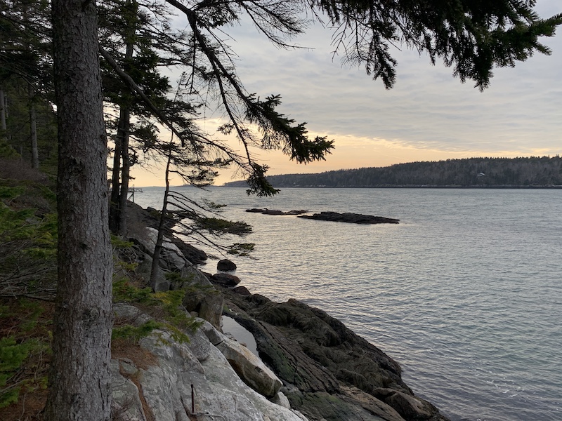 Rutherford Island Preserve, South Bristol Maine by Foot