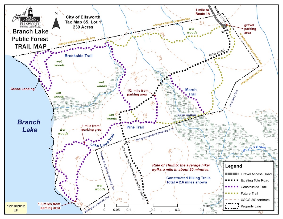 Branch Lake Public Forest, Ellsworth Maine by Foot