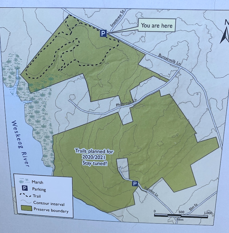 Weskeag Preserve, South Thomaston - Maine by Foot