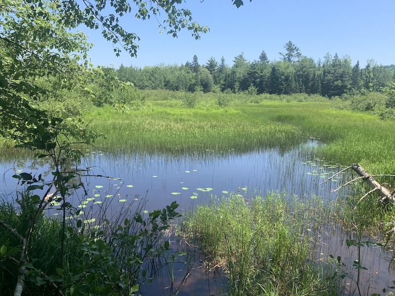 Bog Brook, Whitten Hill and Northern Headwaters Preserves, Montville