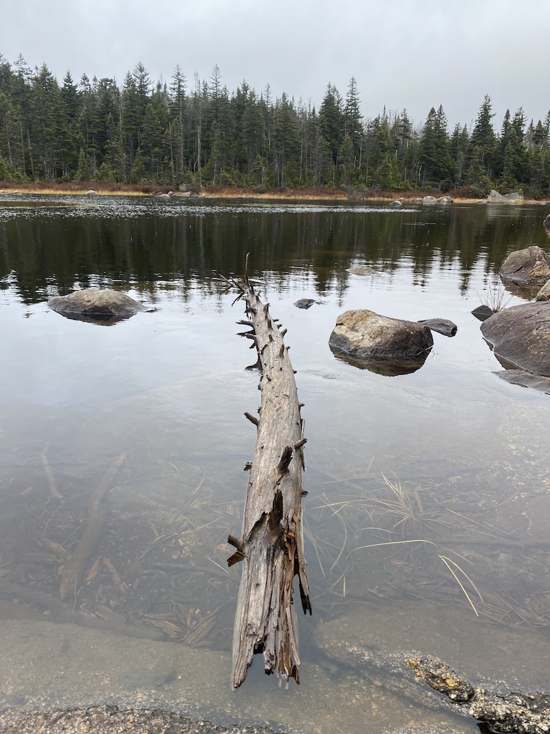 Rock and Midway Pond trails, Sandy River Plantation Maine by Foot
