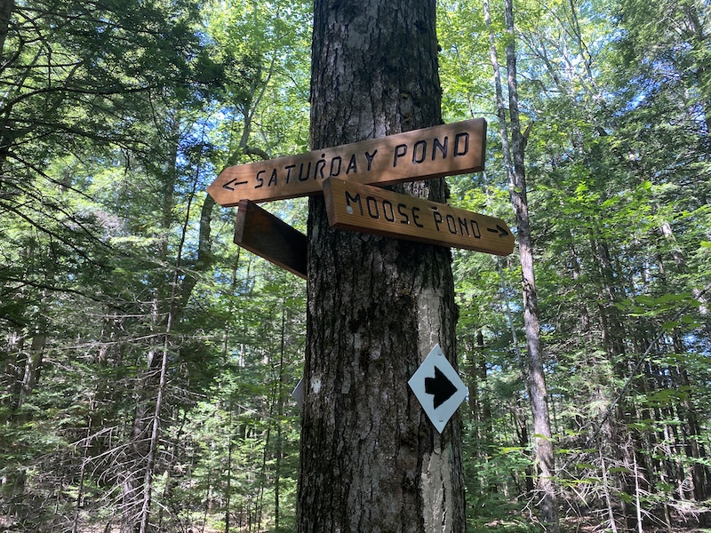 Two Ponds Nature Area, Otisfield - Maine by Foot