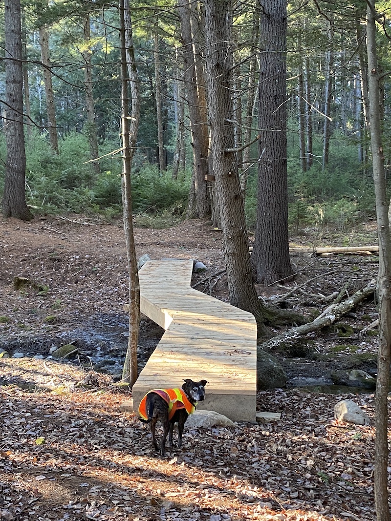 Weston Woods and Oatway Preserves, East Winthrop Maine by Foot