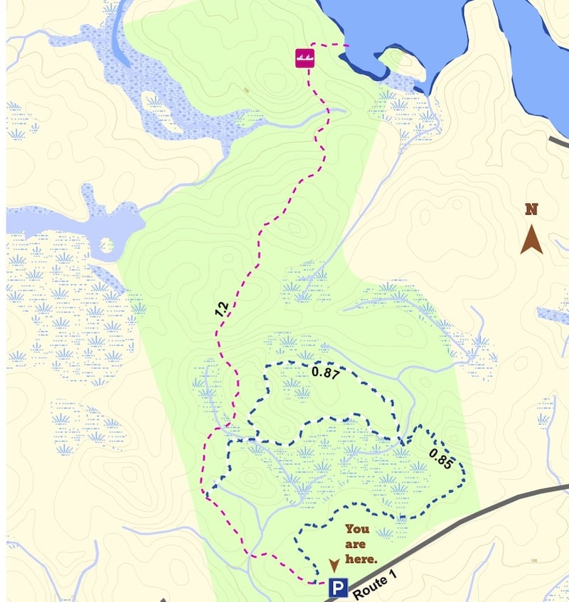 Day Ridges Preserve, Gouldsboro Maine by Foot