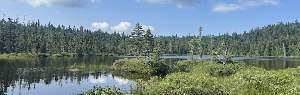 Snow Mountain, Alder Stream Township - Maine by Foot